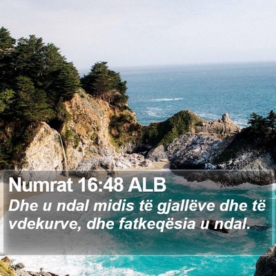 Numrat 16:48 ALB Bible Verse Image
