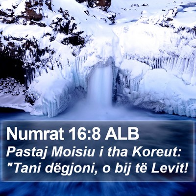 Numrat 16:8 ALB Bible Verse Image