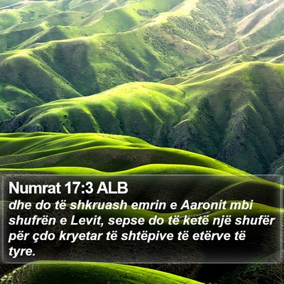 Numrat 17:3 ALB Bible Verse Image