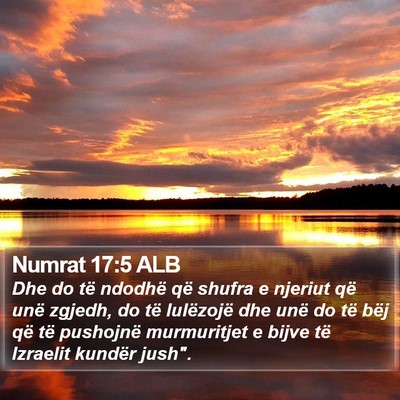 Numrat 17:5 ALB Bible Verse Image