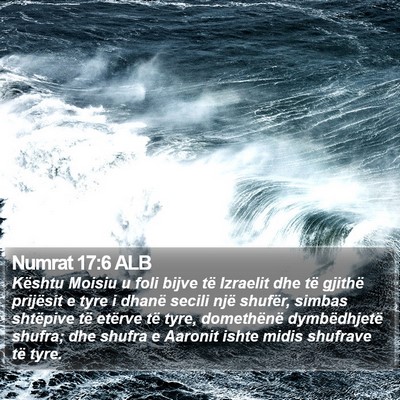 Numrat 17:6 ALB Bible Verse Image