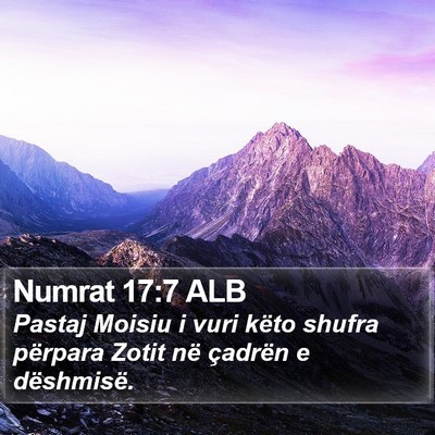 Numrat 17:7 ALB Bible Verse Image