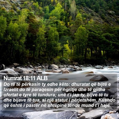 Numrat 18:11 ALB Bible Verse Image