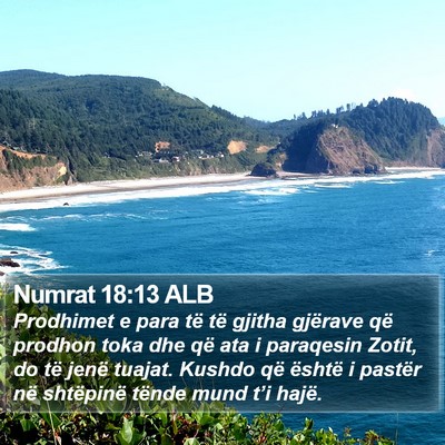 Numrat 18:13 ALB Bible Verse Image