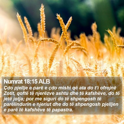 Numrat 18:15 ALB Bible Verse Image