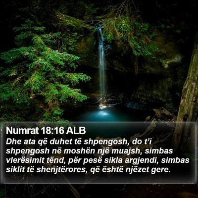 Numrat 18:16 ALB Bible Verse Image