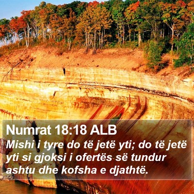 Numrat 18:18 ALB Bible Verse Image