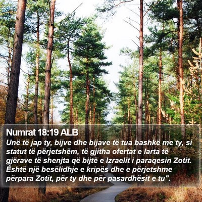 Numrat 18:19 ALB Bible Verse Image