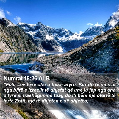 Numrat 18:26 ALB Bible Verse Image