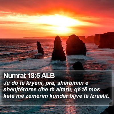 Numrat 18:5 ALB Bible Verse Image