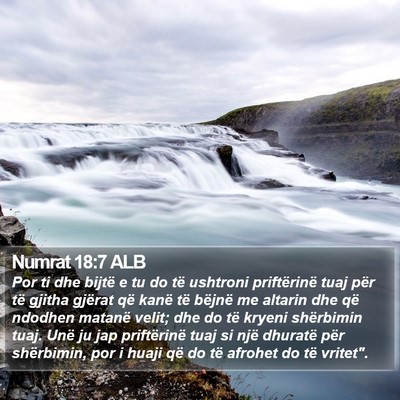 Numrat 18:7 ALB Bible Verse Image