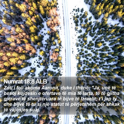 Numrat 18:8 ALB Bible Verse Image