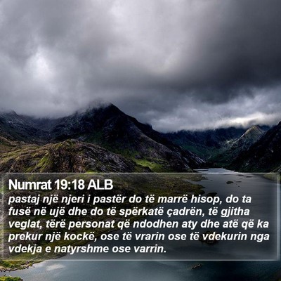 Numrat 19:18 ALB Bible Verse Image