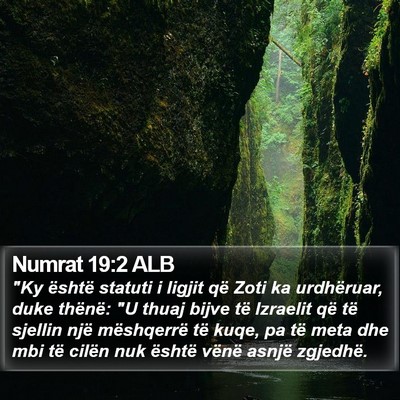 Numrat 19:2 ALB Bible Verse Image