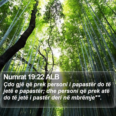 Numrat 19:22 ALB Bible Verse Image
