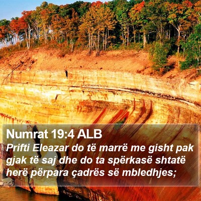 Numrat 19:4 ALB Bible Verse Image