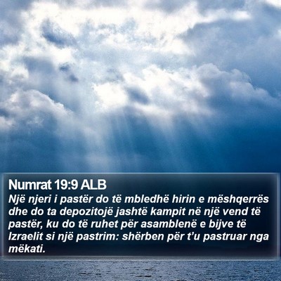 Numrat 19:9 ALB Bible Verse Image