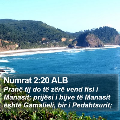 Numrat 2:20 ALB Bible Verse Image
