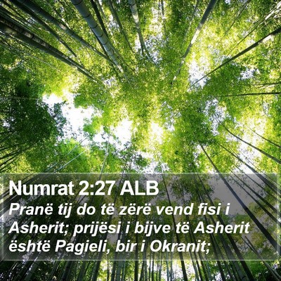 Numrat 2:27 ALB Bible Verse Image