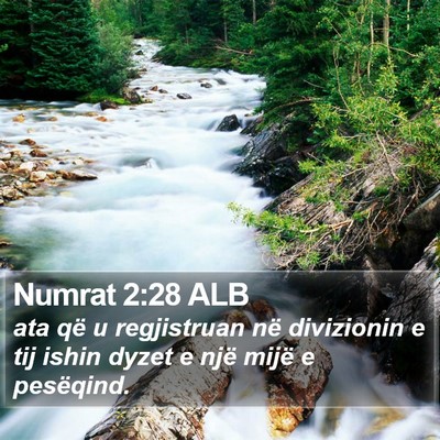 Numrat 2:28 ALB Bible Verse Image