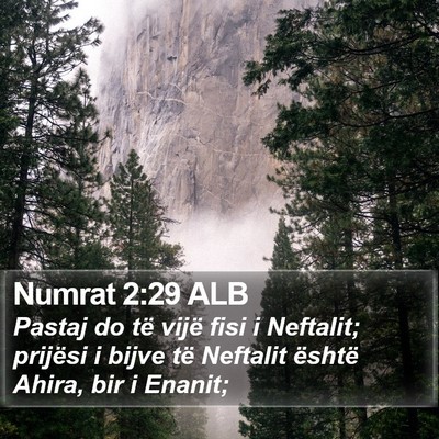 Numrat 2:29 ALB Bible Verse Image
