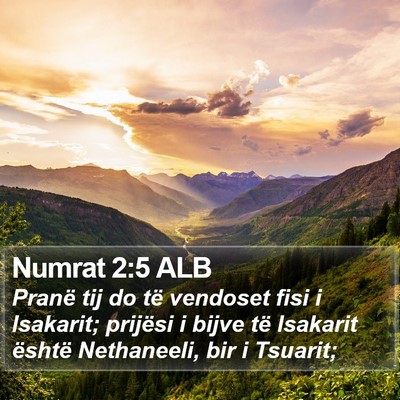 Numrat 2:5 ALB Bible Verse Image
