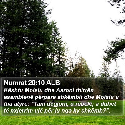 Numrat 20:10 ALB Bible Verse Image