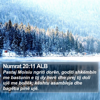 Numrat 20:11 ALB Bible Verse Image
