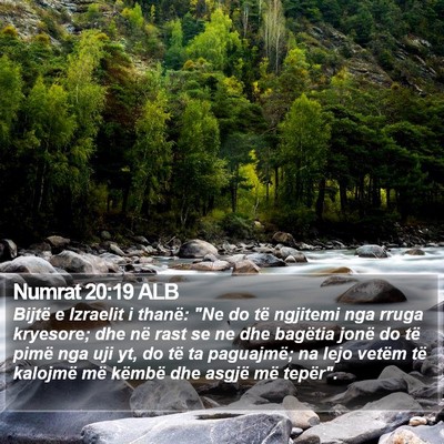 Numrat 20:19 ALB Bible Verse Image
