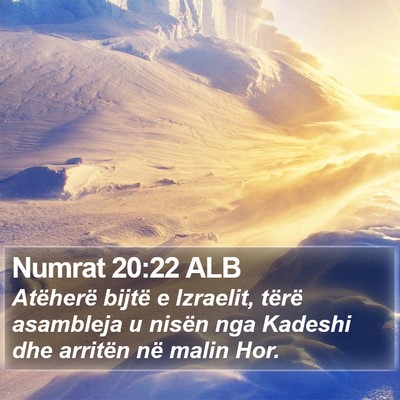 Numrat 20:22 ALB Bible Verse Image