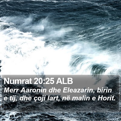 Numrat 20:25 ALB Bible Verse Image
