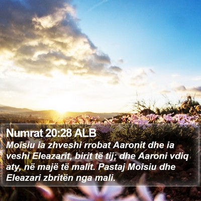 Numrat 20:28 ALB Bible Verse Image