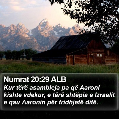 Numrat 20:29 ALB Bible Verse Image