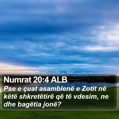 Numrat 20:4 ALB Bible Verse Image