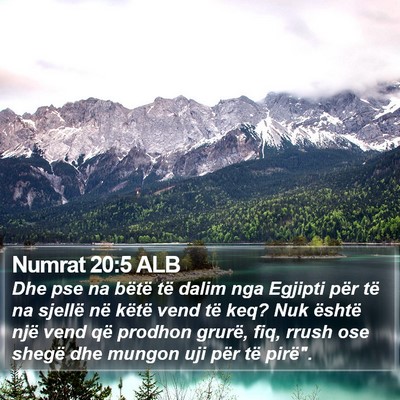 Numrat 20:5 ALB Bible Verse Image