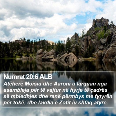 Numrat 20:6 ALB Bible Verse Image