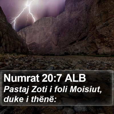 Numrat 20:7 ALB Bible Verse Image