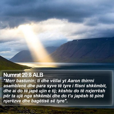 Numrat 20:8 ALB Bible Verse Image
