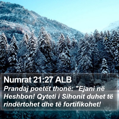 Numrat 21:27 ALB Bible Verse Image