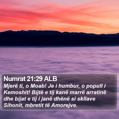 Numrat 21:29 ALB Bible Verse Image