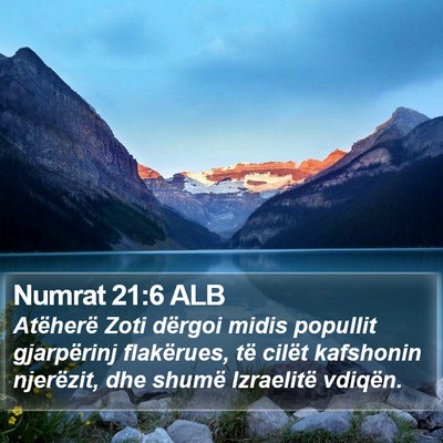 Numrat 21:6 ALB Bible Verse Image