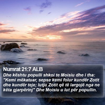 Numrat 21:7 ALB Bible Verse Image
