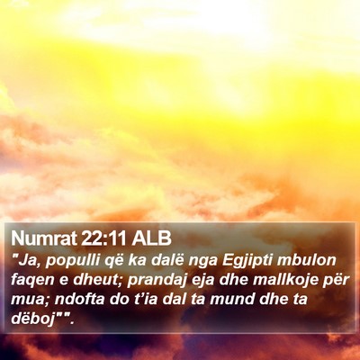 Numrat 22:11 ALB Bible Verse Image