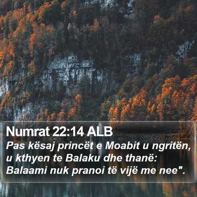 Numrat 22:14 ALB Bible Verse Image