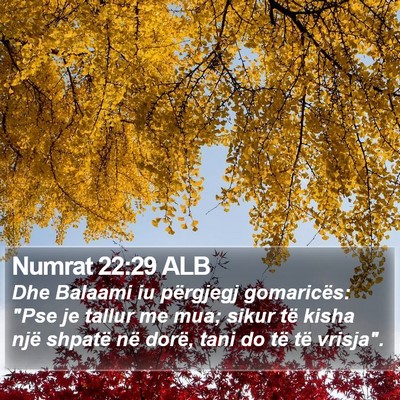 Numrat 22:29 ALB Bible Verse Image