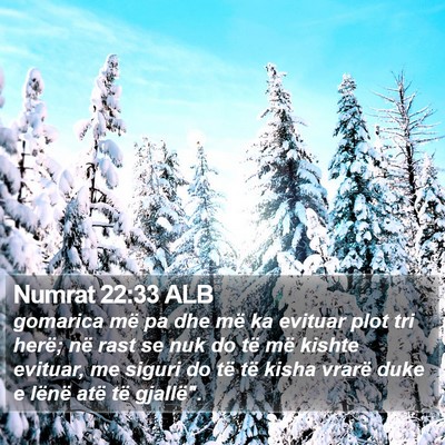 Numrat 22:33 ALB Bible Verse Image