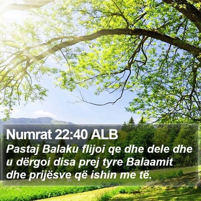 Numrat 22:40 ALB Bible Verse Image