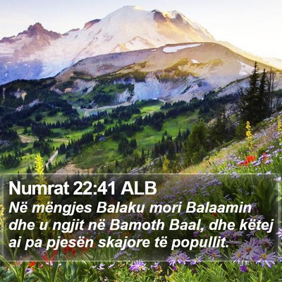 Numrat 22:41 ALB Bible Verse Image