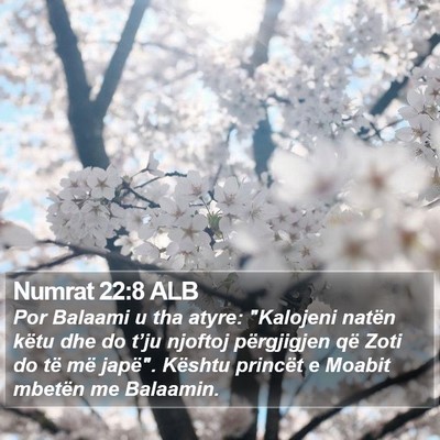 Numrat 22:8 ALB Bible Verse Image