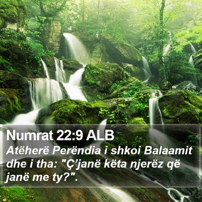 Numrat 22:9 ALB Bible Verse Image